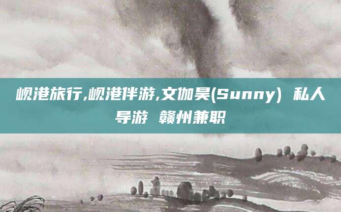 大悟岘港旅行,岘港伴游,文伽昊(Sunny) 私人导游 赣州兼职